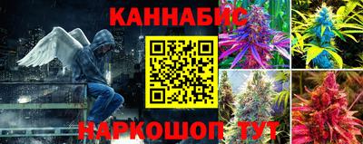 гашик Ирбит