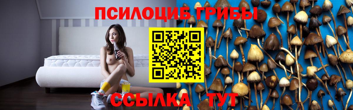 где можно купить наркотик  Псилоцибиновые грибы прущие грибы  Вход с VPN  Усть-Джегута 